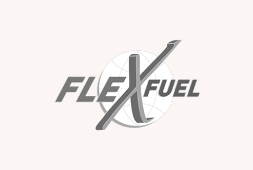 Flex Fuel logo. 