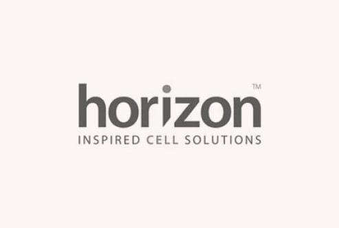 Horizon logo. 
